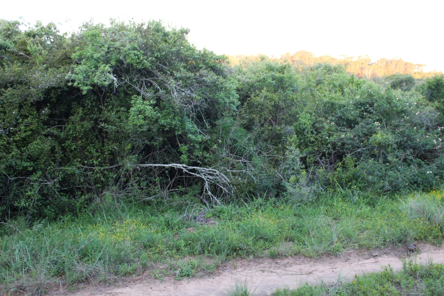 0 Bedroom Property for Sale in Bathurst Eastern Cape